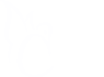 Colibri event